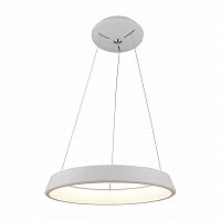подвесной светодиодный светильник arte lamp a6250sp-1wh в Липецке